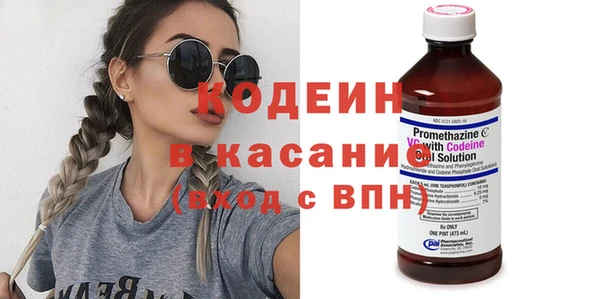 индика Медвежьегорск
