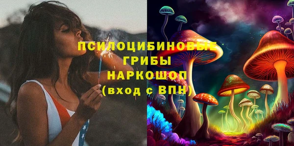 мдпв Магас