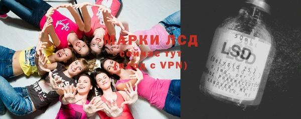 мдпв Магас