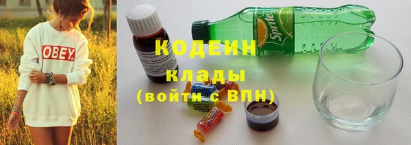 мдпв Магас